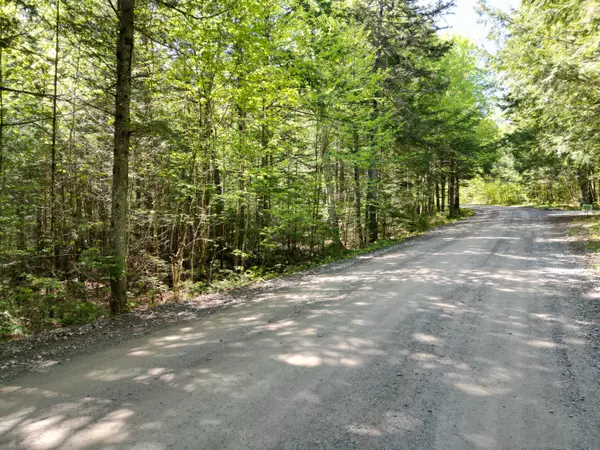 299 Webb Cove DR, Lowell, ME 04493