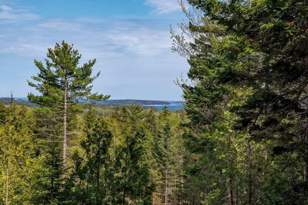 Southwest Harbor, ME 04679,69 Freeman Ridge RD