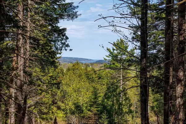 Southwest Harbor, ME 04679,69 Freeman Ridge RD