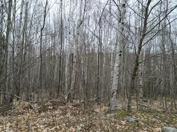 Carroll Plt, ME 04487,Lot 45 Scraggly Lake RD