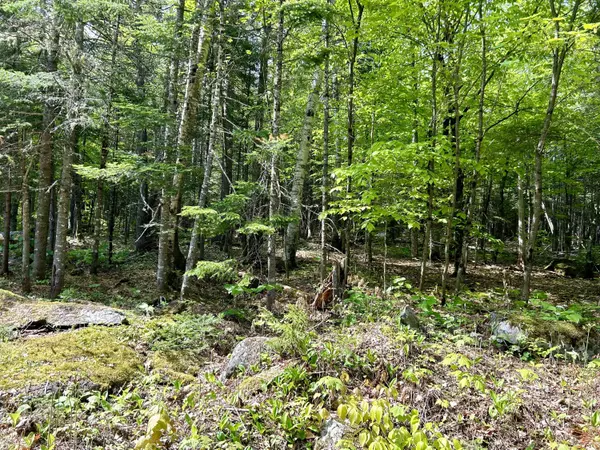 1 B Minister Hill RD, Kingfield, ME 04947