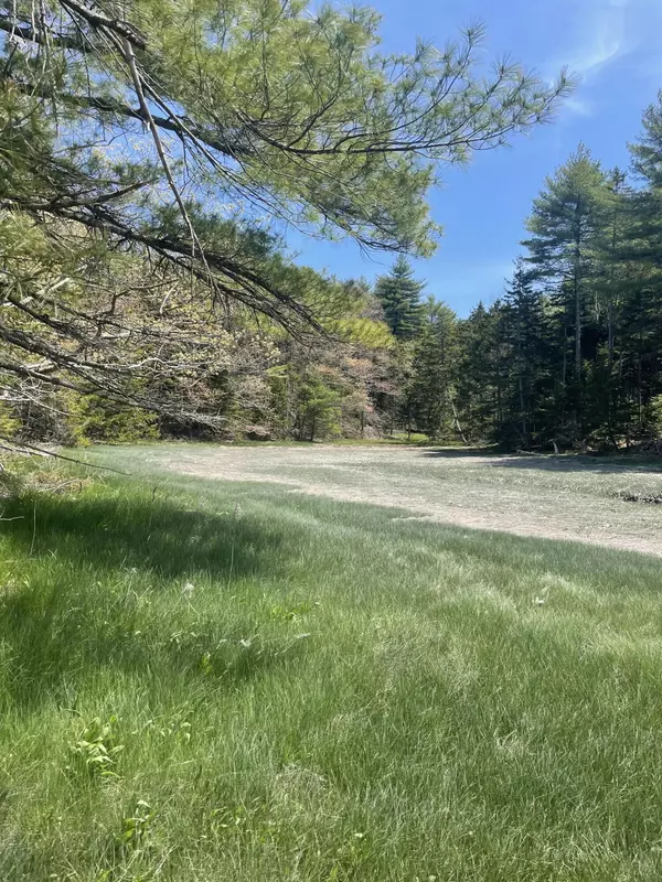 Waldoboro, ME 04572,Lot #81C/D Dutch Neck RD