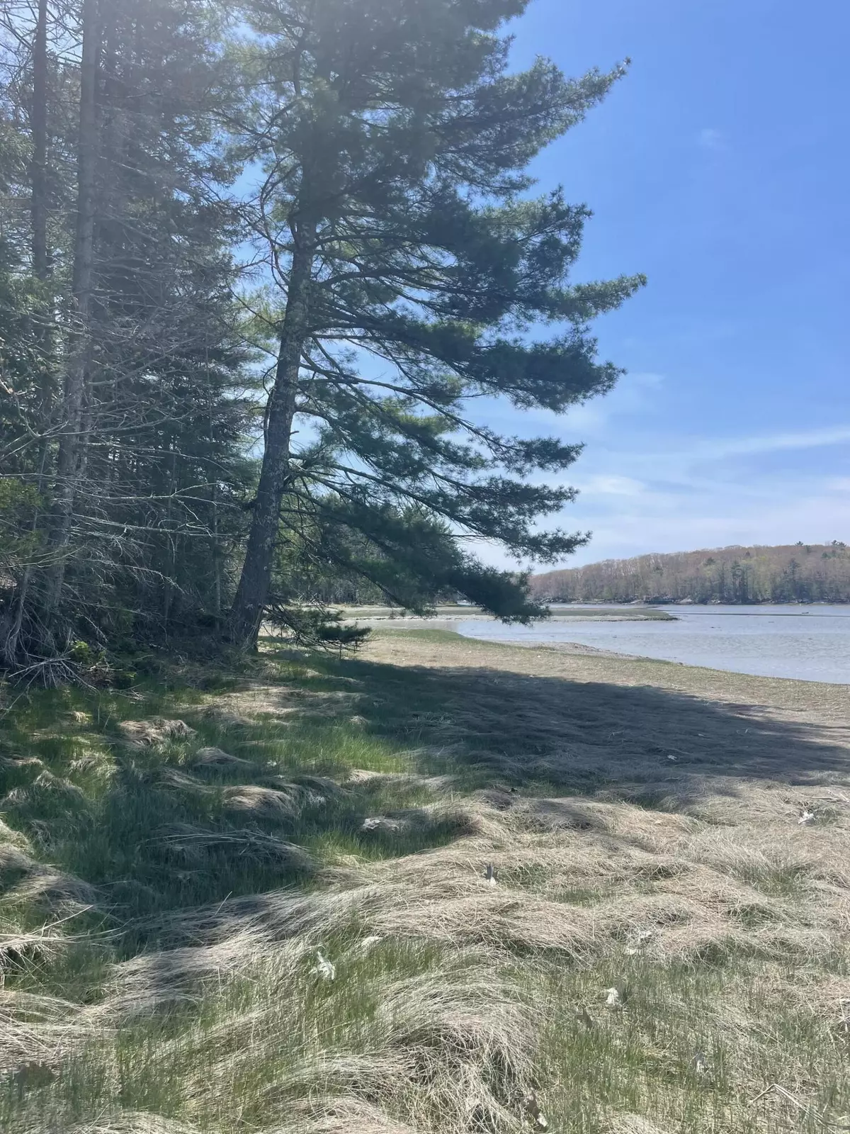 Waldoboro, ME 04572,Lot #81C/D Dutch Neck RD