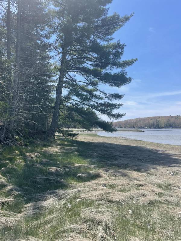 Lot #81C/D Dutch Neck RD, Waldoboro, ME 04572