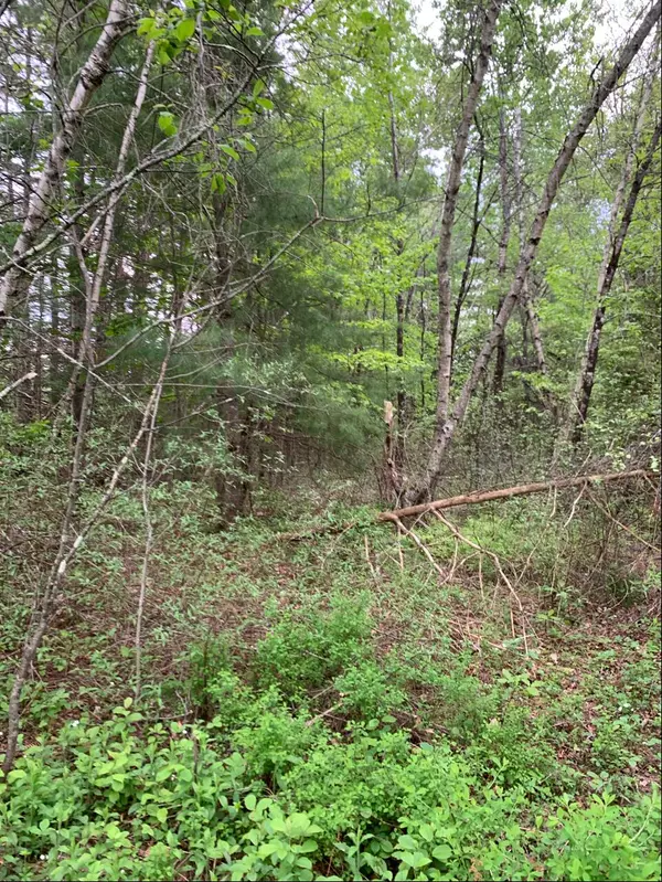 Clinton, ME 04927,0 Evergreen Cemetery Access RD