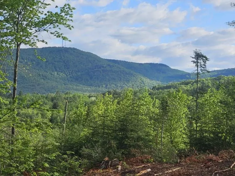 80 South Main St. Rt 26, Woodstock, ME 04219