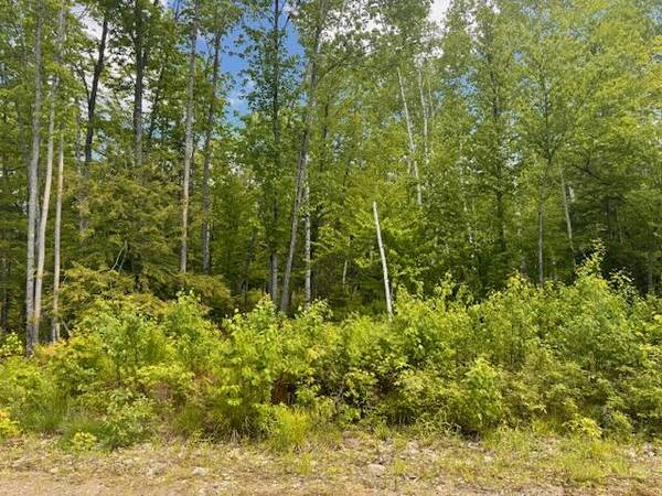 15 Katahdin (Lot 12) WAY, Eddington, ME 04429