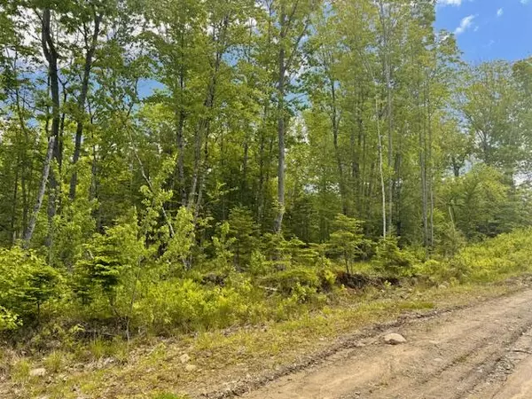 Eddington, ME 04429,15 Katahdin (Lot 12) WAY