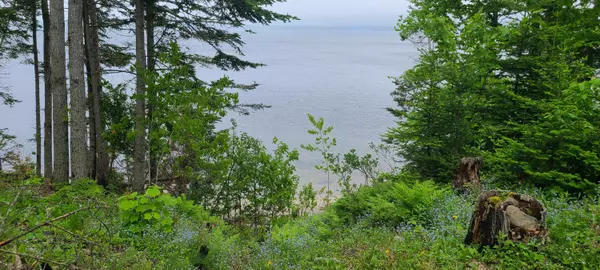 Stockton Springs, ME 04981,1035 Cape Jellison RD