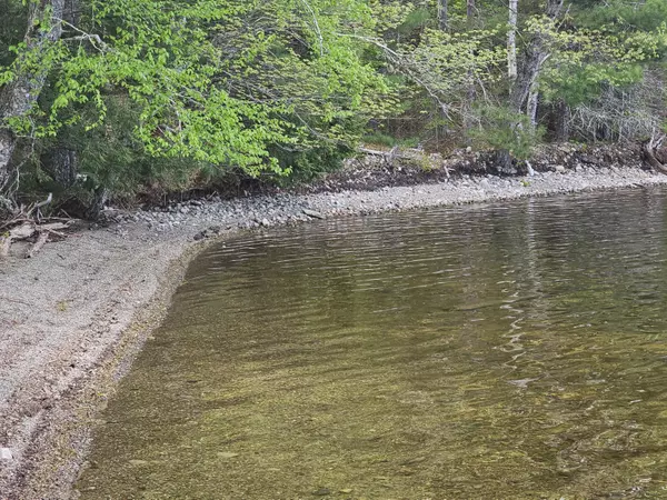 Greenlaw Chopping Twp, ME 04668,24 Big Lake Shores RD