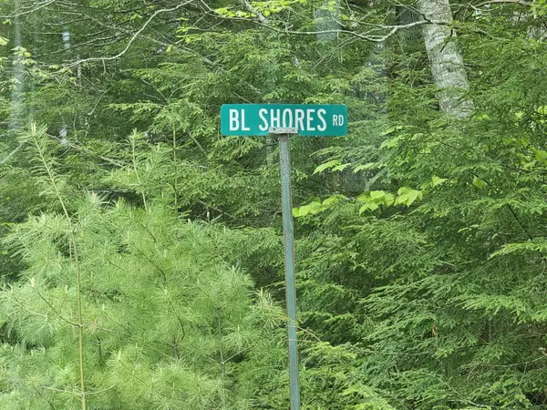 Greenlaw Chopping Twp, ME 04668,24 Big Lake Shores RD