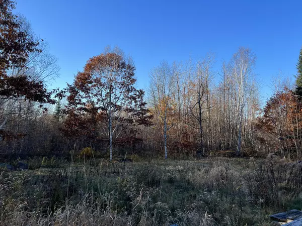 Frankfort, ME 04438,Lot 13-5B Tyler LN