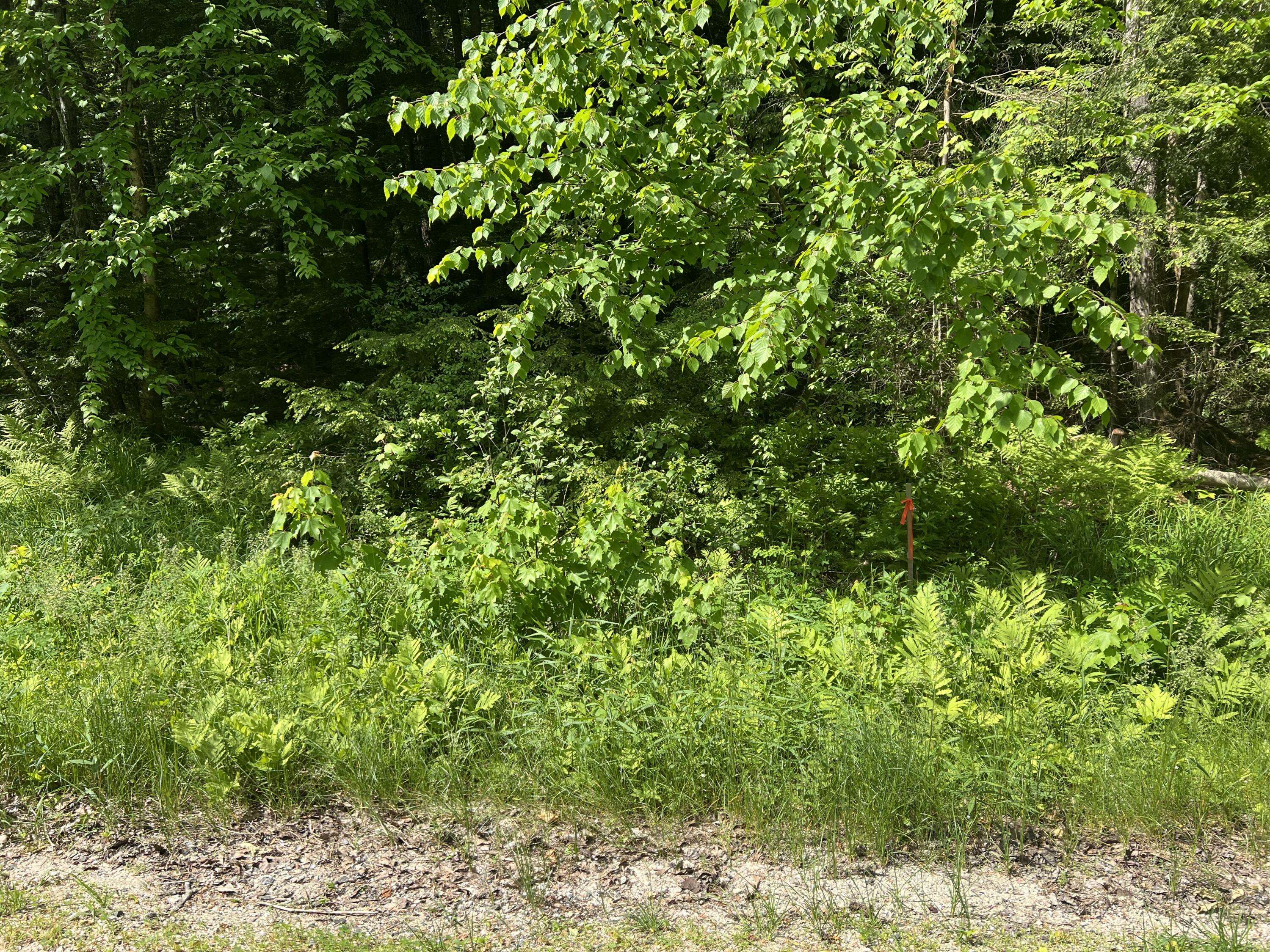 Lot1 Town Farm RD, New Gloucester, ME 04260