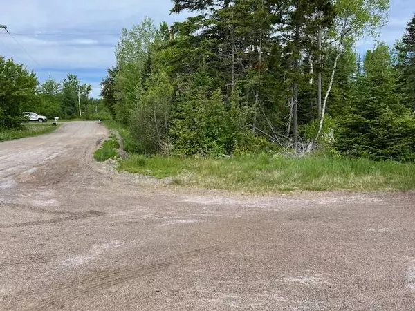 Lot 29 Fifth AVE, Pembroke, ME 04666