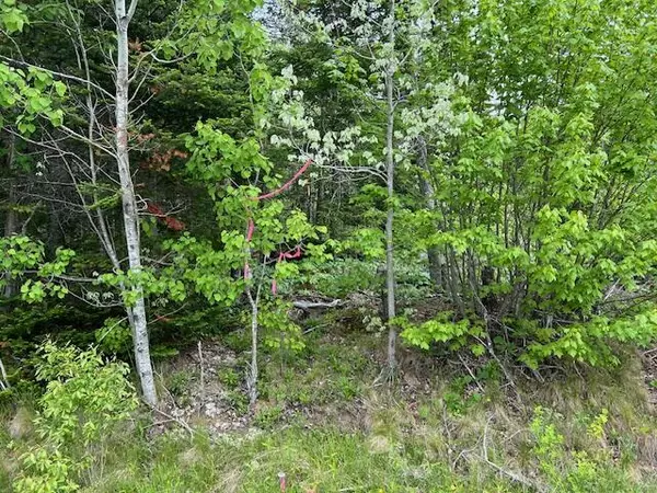 Pembroke, ME 04666,Lot 29 Fifth AVE