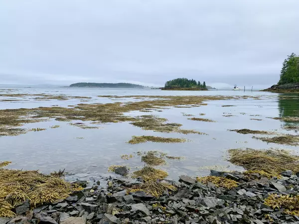 Lubec, ME 04652,599 North Lubec RD