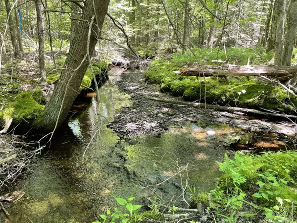 Wells, ME 04090,0 Maplewood LN