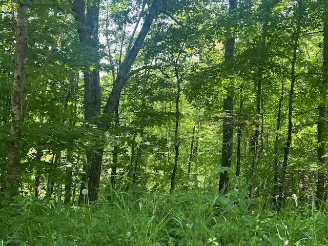 Newcastle, ME 04553,0 Route 215