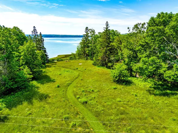 Brooklin, ME 04616,12 Flye Point RD