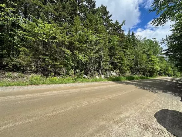 Rangeley Plt, ME 04970,Lot 50 Birches Beach RD
