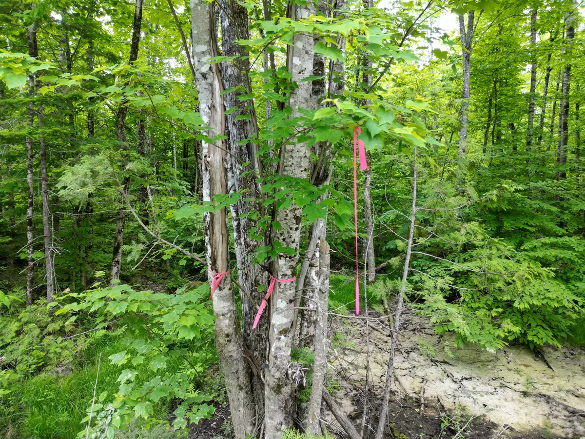 Lee, ME 04455,Lot 1 Hale Farm RD