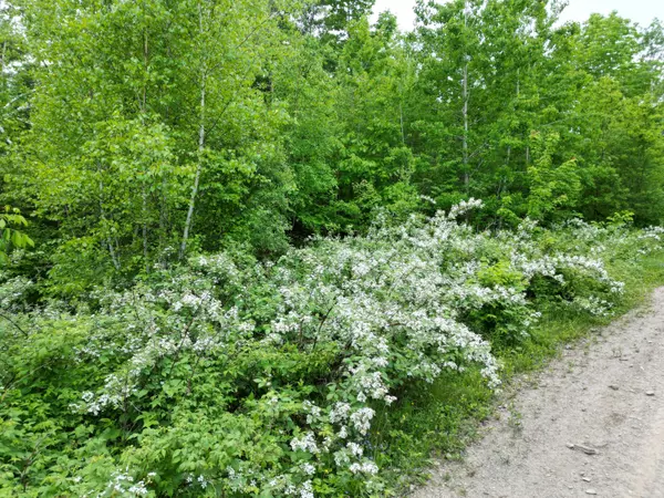 Lee, ME 04455,Lot 1 Hale Farm RD