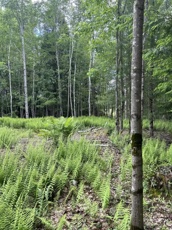 Lisbon, ME 04250,18 Shady LN