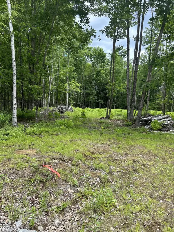 Lisbon, ME 04250,18 Shady LN