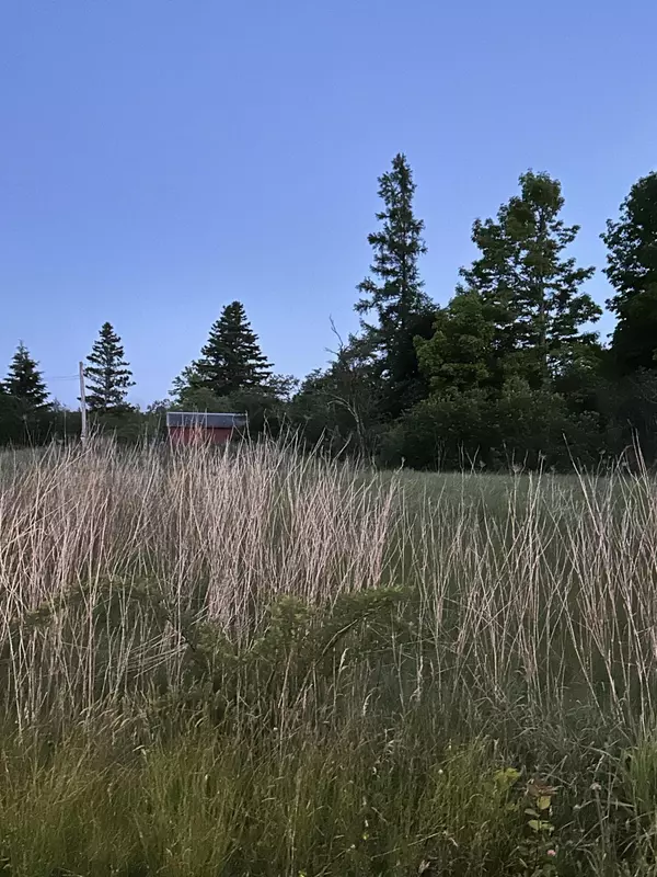 17 Mill ST, Milbridge, ME 04658