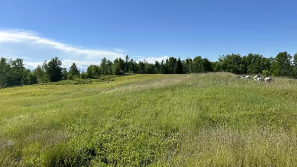 Columbia Falls, ME 04623,Lot # 2A Epping RD