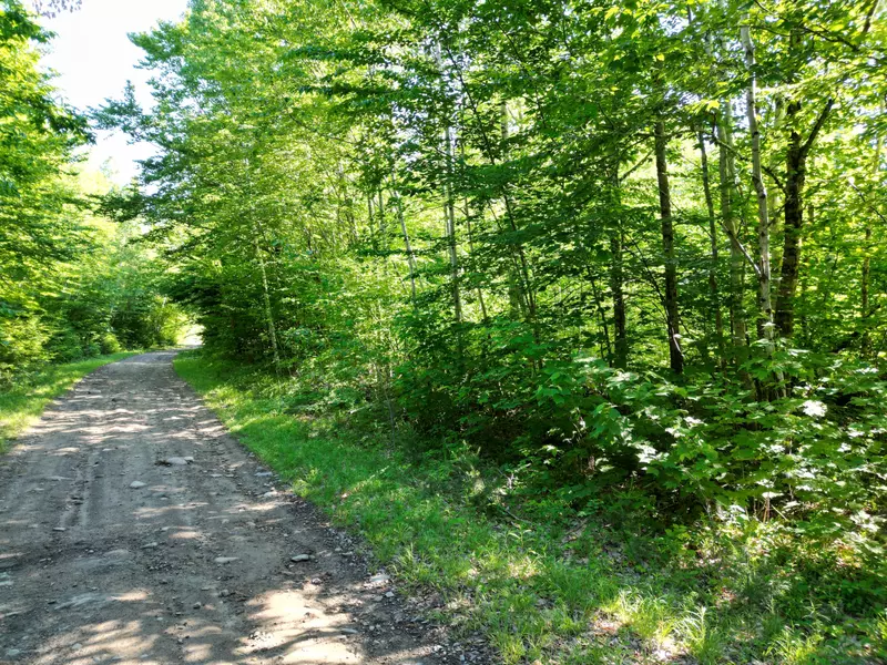 Lot 3 Bear LN, Springfield, ME 04487