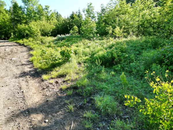 Springfield, ME 04487,Lot 3 Bear LN