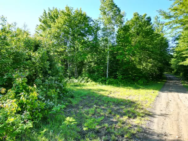 Springfield, ME 04487,Lot 3 Bear LN