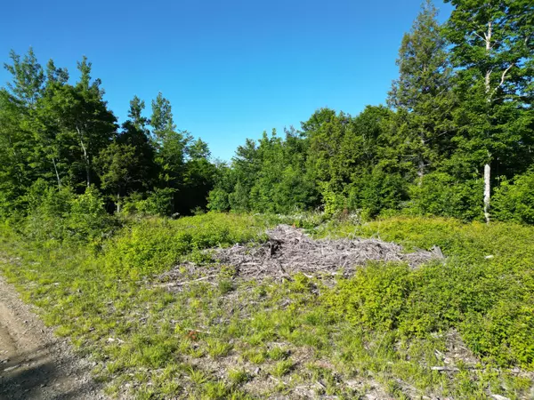 Springfield, ME 04487,Lot 2 Bear LN