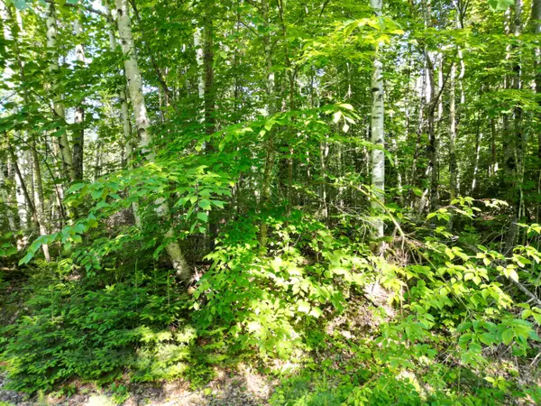 Springfield, ME 04487,Lot 1 Dirty Glove RD