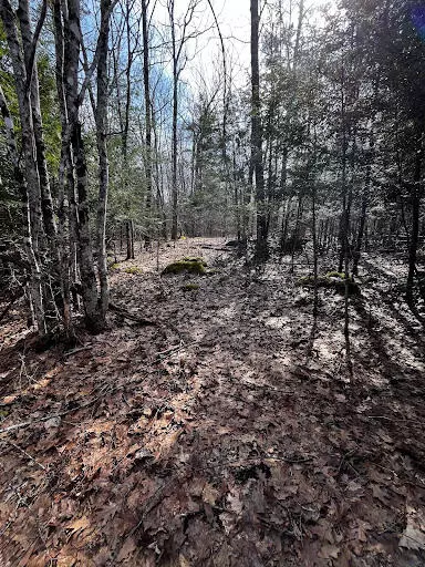 Searsmont, ME 04973,Lot 6 & 8 Albin RD