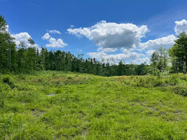 Springfield, ME 04487,Lot 6 Treadwell Hill RD