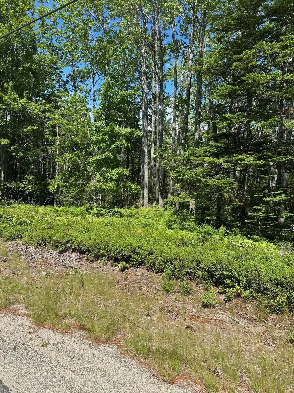 Harrington, ME 04643,Lot 5 Marshville RD