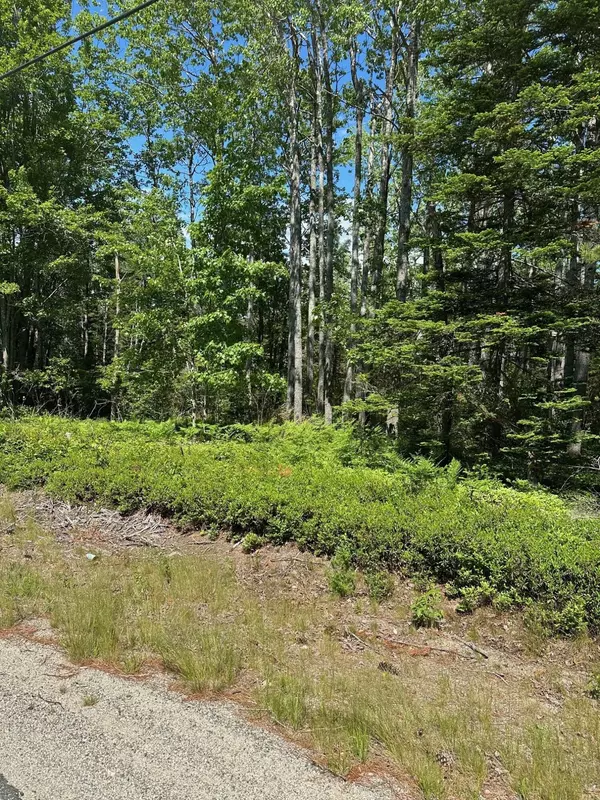 Lot 5 Marshville RD, Harrington, ME 04643