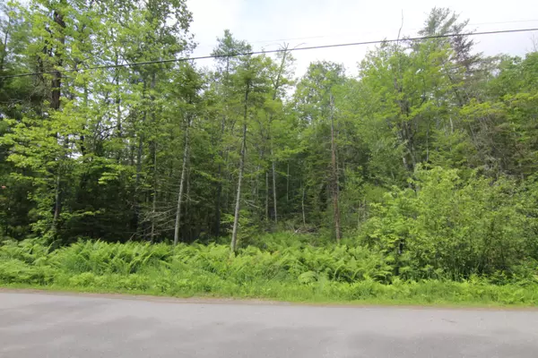 Lot 37C Brewer Lake RD, Orrington, ME 04474