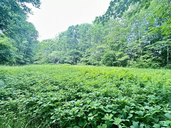 Vienna, ME 04360,492 Tower RD