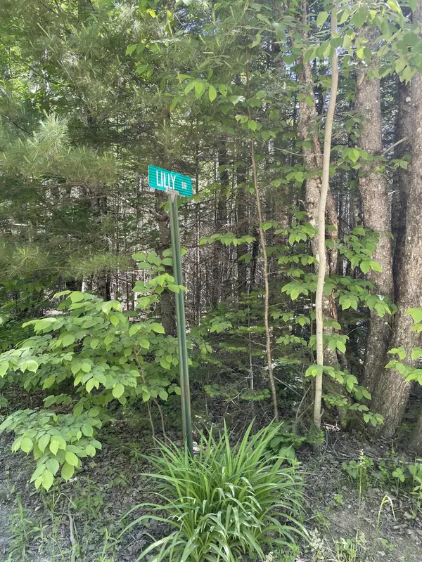 Newport, ME 04953,#9-2 Lilly DR