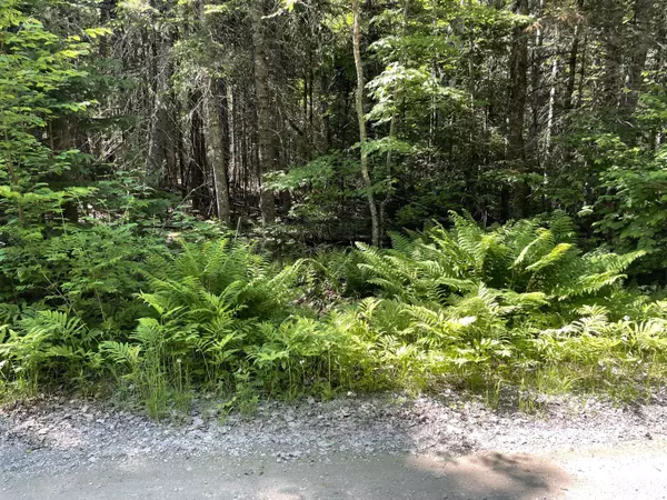 Newport, ME 04953,#9-2 Lilly DR