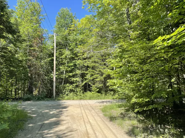 Newport, ME 04953,lot 9-3 Lilly DR