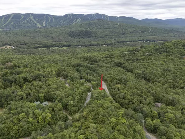 Newry, ME 04261,76 Douglass RD