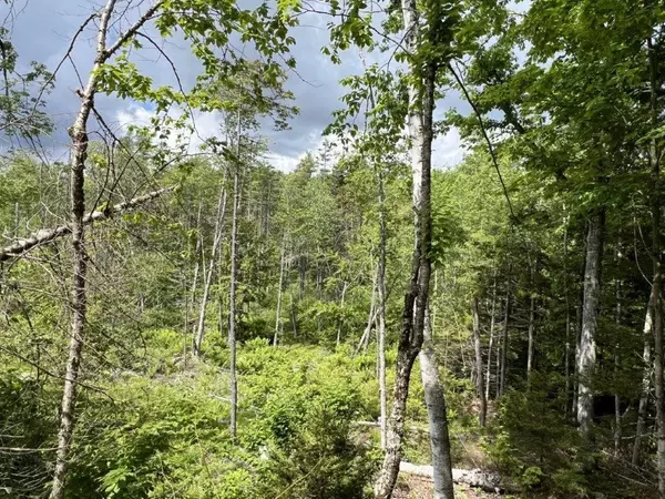 Newcastle, ME 04553,78 Castlewood RD