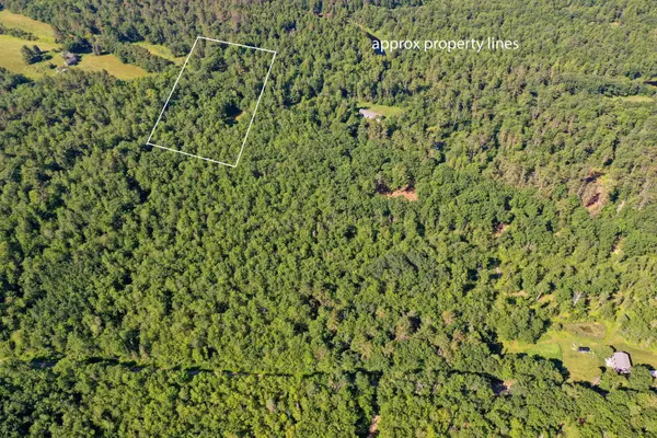 Searsmont, ME 04973,Lot 5.4 Moody Mountain RD