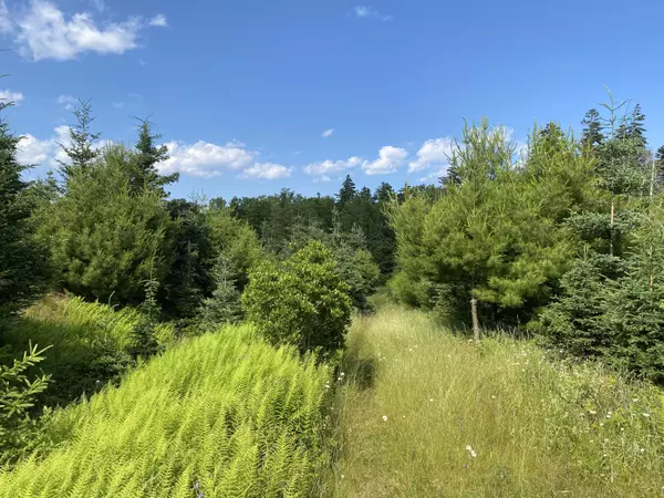 Islesboro, ME 04848,2Q Hermit's Point RD