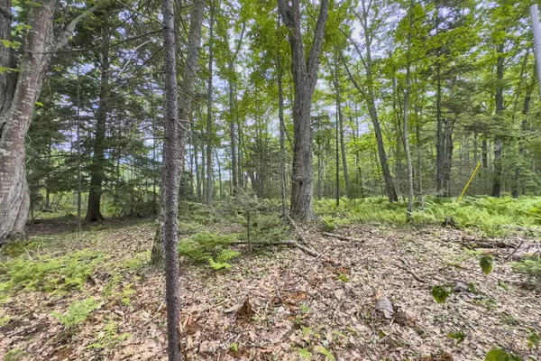 Hope, ME 04847,Lot 47 Loon LN