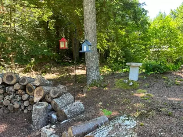 Orland, ME 04472,28 Cottage LN